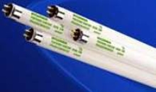 Fluorescent Lamps offer temperature-independent operation.