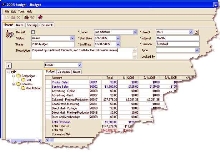 Marketing Software includes budget management features.