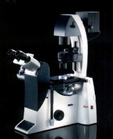 Digital Inverted Microscopes suit live cell research.