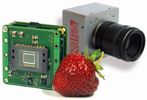 Digital Cameras is suited for OEMs and integrators.