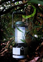 Solar-Powered Lantern has 24 incandescent-white 5 mm LEDs.