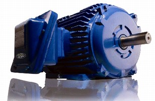 Dual-Rated Motors feature explosionproof design.