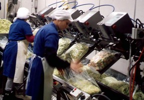 Packaging Machine consistently seals fresh-cut produce bags.