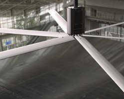 Solar HVLS Industrial Fan offers efficient air circulation.