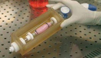 Bioreactor aids stem cell derived hollow organ generation.