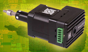 Stepper Motor offers diverse configuration options.
