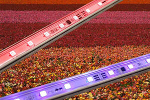 LED Lightbar is designed for optimal plant growth stimulation.