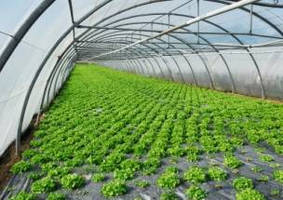 Wireless Greenhouse Monitoring and Control