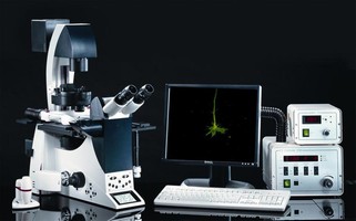 Fluorescence Imaging System facilitates live cell imaging.