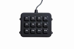 Compact Keyboard has 12 function keys only.