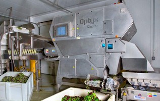 Pure Pacific Organics Relies on Optyx&reg; with FluoRaptor(TM) to Assure Product Quality and Food Safety