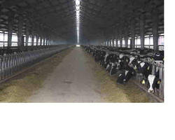 Large Farm and Dairy Operation Uses NetDVMS from OnSSI