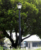 UC Berkeley Relights Campus with Sentry Electric's LED Retrofit Solution