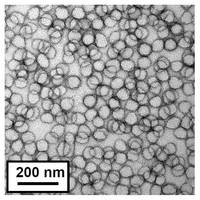 Malvern Zetasizer Nano Helps Sheffield University Researchers Optimise Nanolatex Production